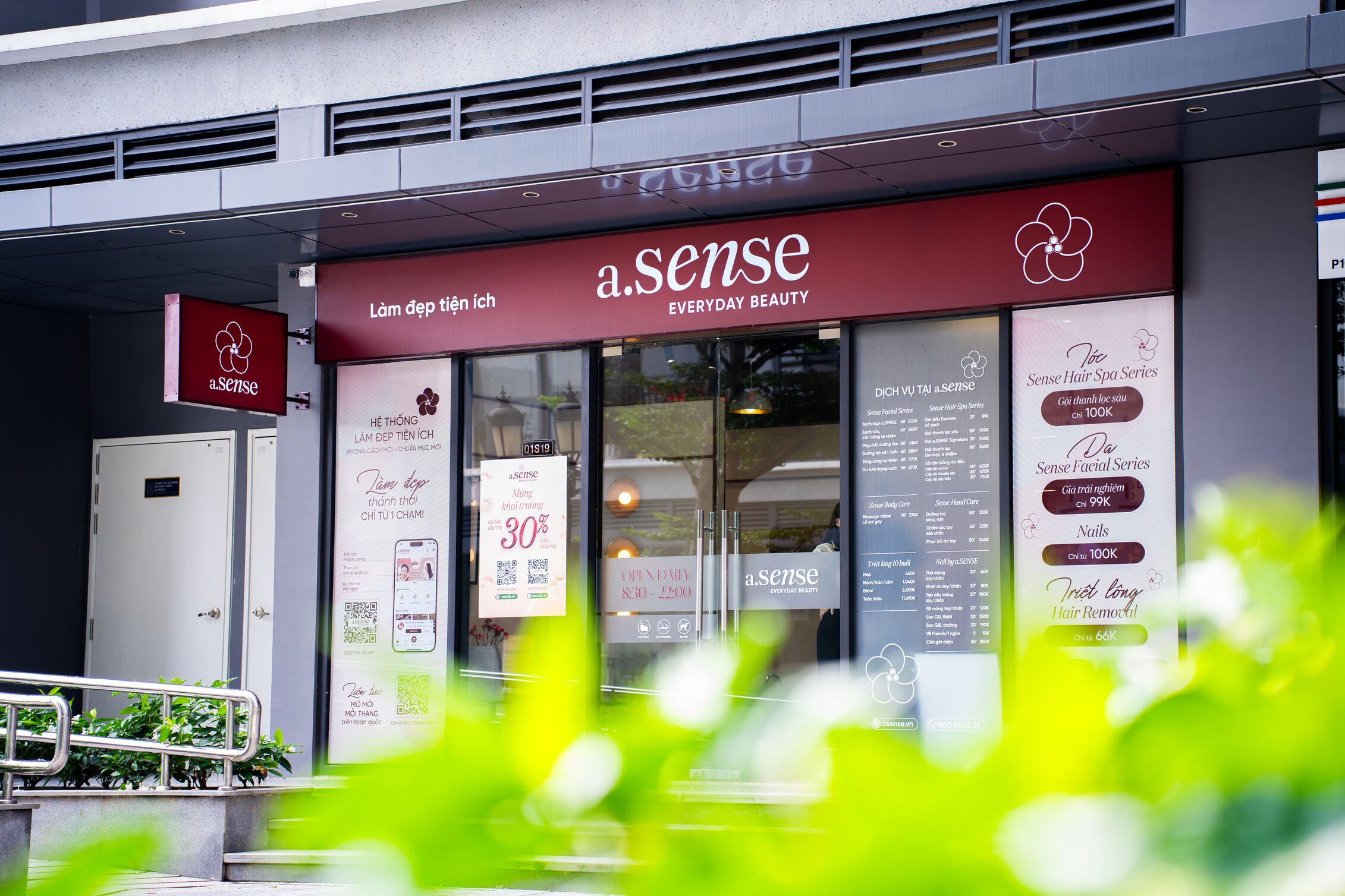 asense-ha-noi